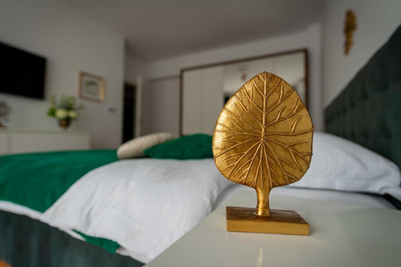 Coresi Vibe Apartamento *